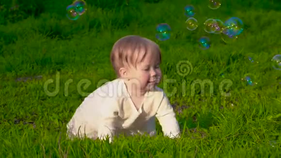 草地上的小宝宝视频的预览图