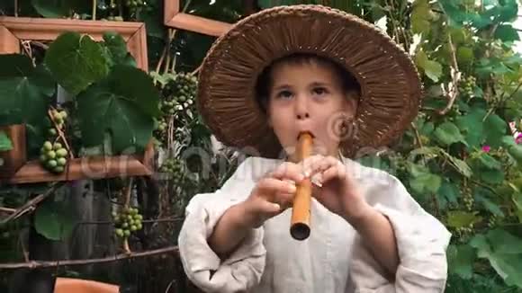 戴着草帽的小快乐的孩子努力吹笛子的肖像可爱可爱的男孩在乐器上演奏视频的预览图
