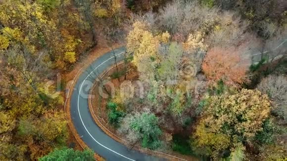 森林中弯曲道路的鸟瞰图秋天的高山视频的预览图