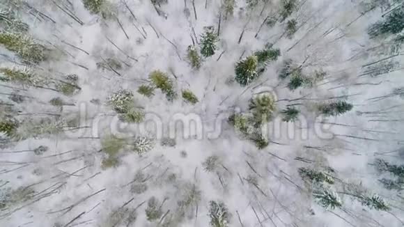 用雪覆盖的树木俯瞰冰冻的森林医生的录像视频的预览图