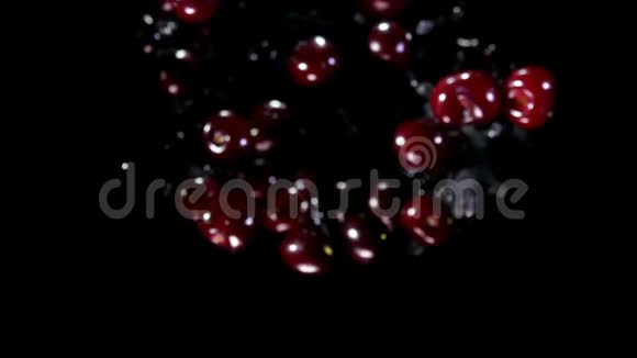 令人兴奋的多汁樱桃在黑色背景上溅起水花视频的预览图