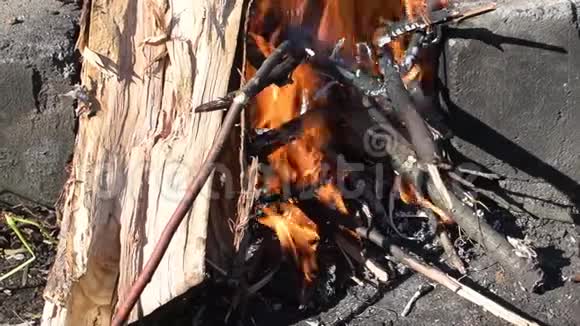 在阳光明媚的日子里在篝火上燃烧着树枝视频的预览图