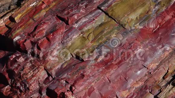 石化树的树干多种颜色的矿物晶体特写亚利桑那州石化森林国家公园视频的预览图