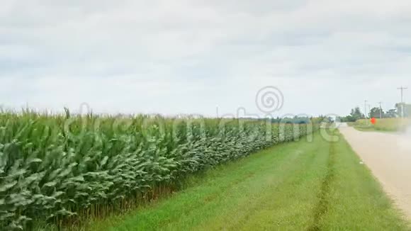 农村砾石路旁边的玉米地与汽车和灰尘吹过玉米秸秆农场农业概念中的复制空间视频的预览图