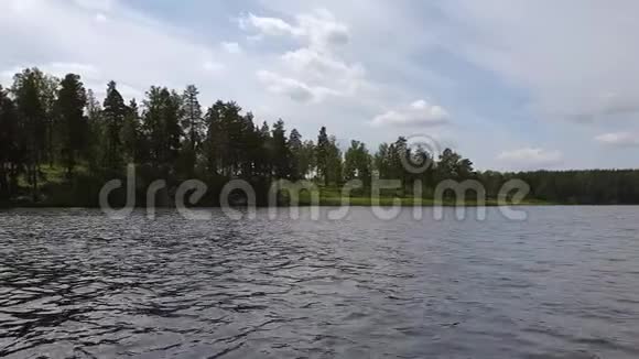 华丽的自然景观观湖岸的高树雷天以灰云背景视频的预览图