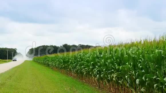 玉米地旁边的乡村砾石路上有着接近的汽车灰尘吹过玉米秸秆农场农业复制空间视频的预览图