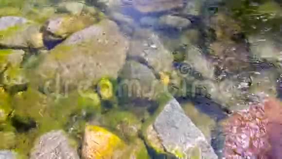 河水清澈见底清澈见底清澈见底视频的预览图