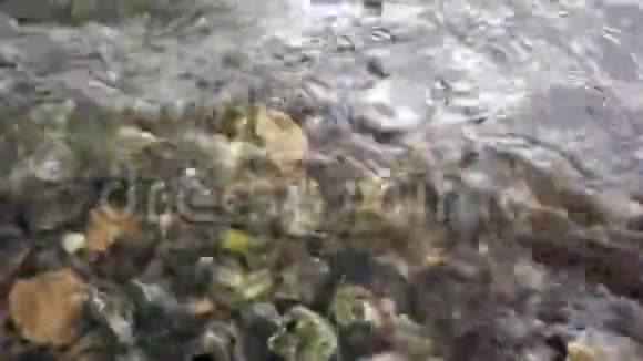 波浪沿着岩石海岸奔跑视频的预览图