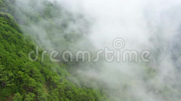 多雨的云层覆盖着绿林山的山顶热带气候下的雨云视频的预览图