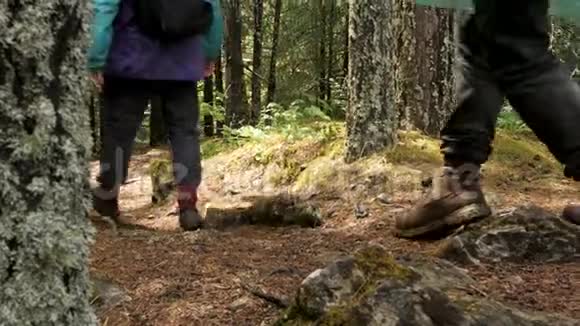 徒步旅行者在森林小径侧视库存录像接近男性穿着徒步旅行的鞋子行走的背景视频的预览图