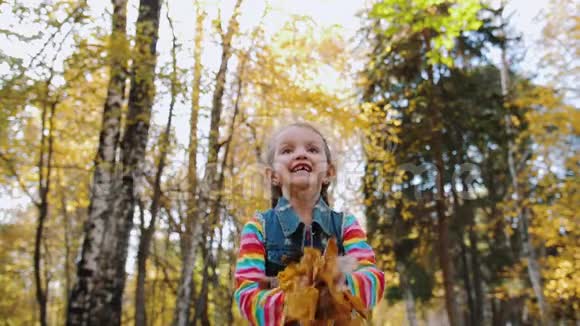 欢快可爱的小女孩在秋天的森林里抛起黄叶慢动作视频的预览图