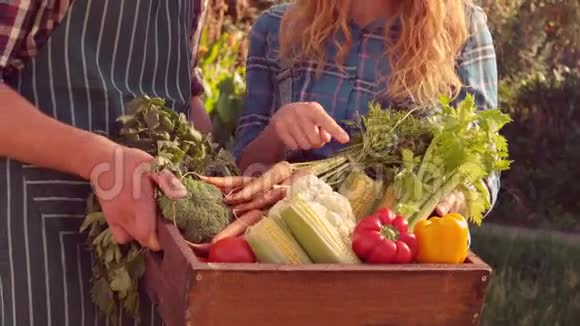 带着一盒蔬菜的幸福夫妇视频的预览图