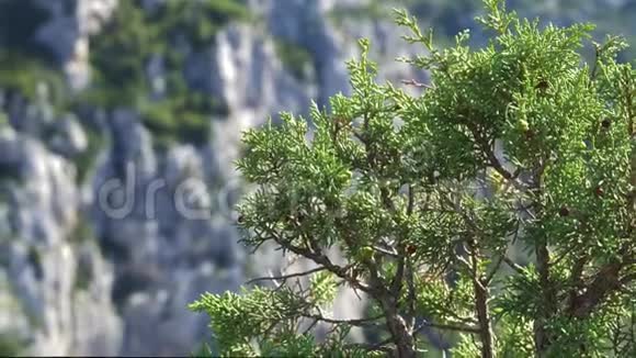 峡谷上的壮丽岩石法国普罗旺斯视频的预览图