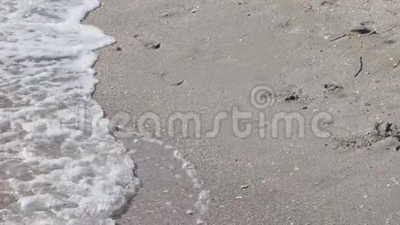 沙中的脚印视频的预览图