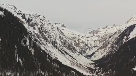 鸟瞰在阿尔卑斯山的一个山谷上空横飞阴天有树的山和雪视频的预览图