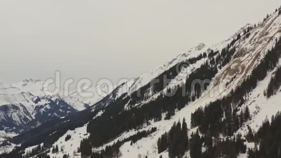 鸟瞰和飞行围绕着一个有树木的角落奥地利阿尔卑斯山山区阴天拍摄视频的预览图