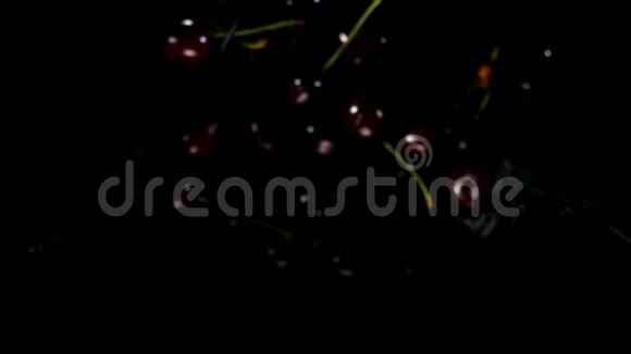 黑黑色的樱桃在黑色的背景上溅起水花视频的预览图