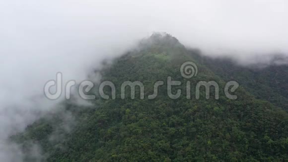 多雨的云层覆盖着绿林山的山顶热带气候下的雨云视频的预览图