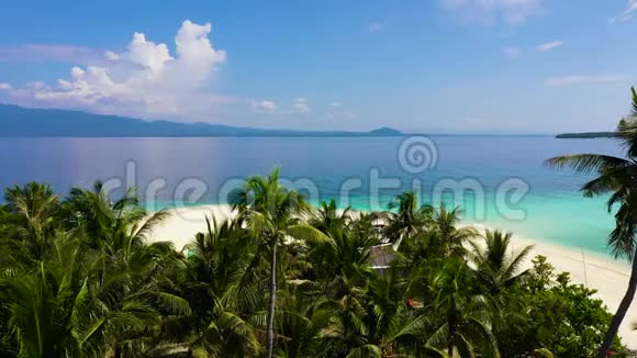 夏日海滩景观热带岛景棕榈树带着令人惊叹的蓝海菲律宾Digyo岛视频的预览图