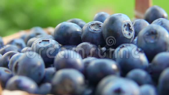 超级接近大美味的蓝莓躺在篮子里视频的预览图
