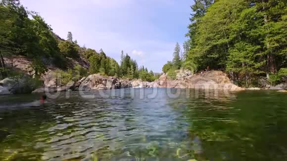 绿油油的水池绿油油的水碧空下清澈的泻湖周围是松树视频的预览图