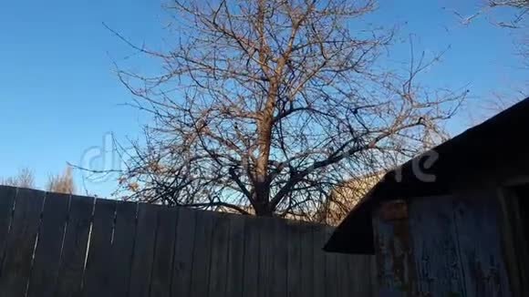 古老的建筑木制的栅栏和蓝色的冬天的天空有光漆的门视频的预览图