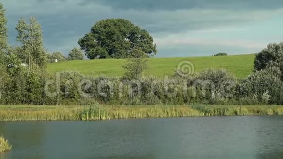 山上的橡树在池塘边视频的预览图