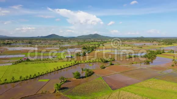 菲律宾的稻田山体景观带青山绿水和农田视频的预览图
