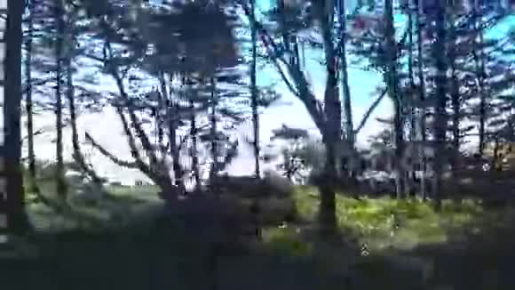 斯洛文尼亚博欣吉湖的秋季季节开车时可以看到太平洋海岸视频的预览图
