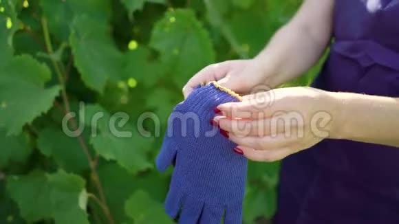 围裙高加索女性戴蓝色园艺手套特写视频的预览图