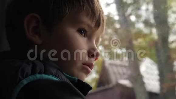 年轻的游客乘火车旅行白人男孩棕色的眼睛看着人行道上生长的树木面部视频的预览图