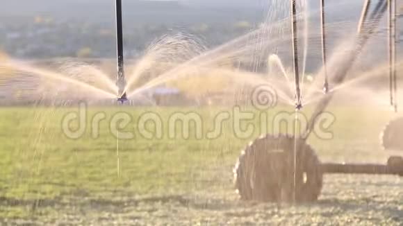 一辆农业洒水车在农田里浇水视频的预览图