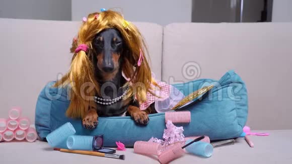 戴着滑稽假发和连衣裙的达春德躺在家里的沙发上在女人的化妆品中视频的预览图