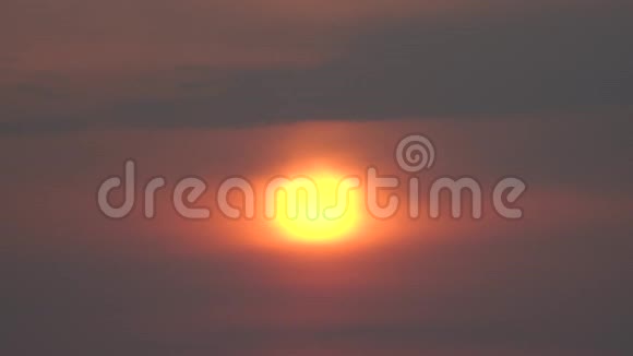 鸟在太阳的背景下飞行在戏剧性的日落与云彩关闭视频的预览图
