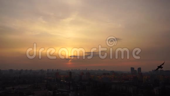 鸽子飞行接近镜头与基辅城市景观和戏剧性的日落与壮观的云景背景视频的预览图