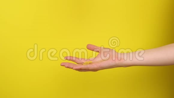 手抓黄色背景的意大利面视频的预览图