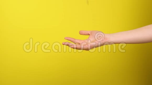 手抓黄色背景的意大利面视频的预览图