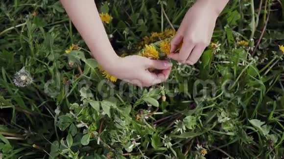 蒲公英花圈编织过程的俯视图女人的手用新鲜的野花做一个黄色的花环关门视频的预览图