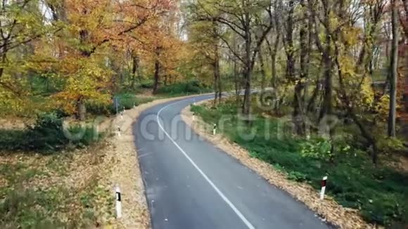 穿越森林的道路鸟瞰图高山之秋视频的预览图