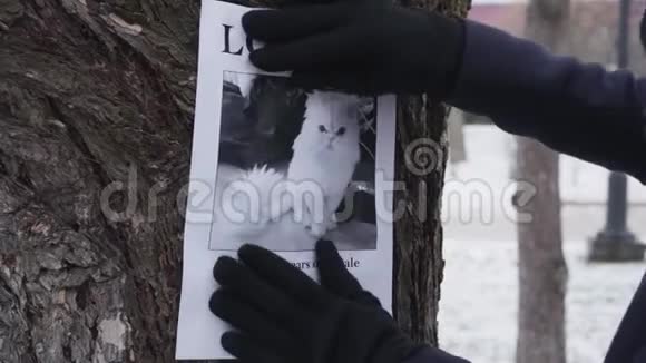 冬季手套上的女手特写在树上挂着失踪的猫广告女宠物主人寻找动物视频的预览图