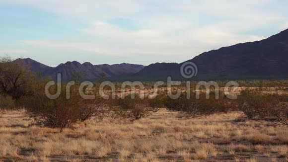 美国阿里佐纳2019年11月30日亚利桑那州沙漠日落时黄色的干草火车在凤凰城附近视频的预览图