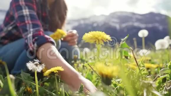 编春花圈的过程女手拨一朵花编一个黄色蒲公英的花圈自然关门视频的预览图
