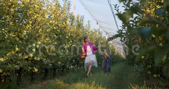 可爱的一家人在苹果园小女儿正朝镜头跑去视频的预览图
