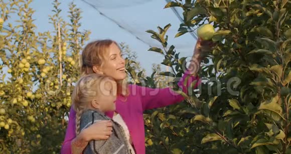 妈妈和她的小女儿在果园里摘苹果4k视频的预览图