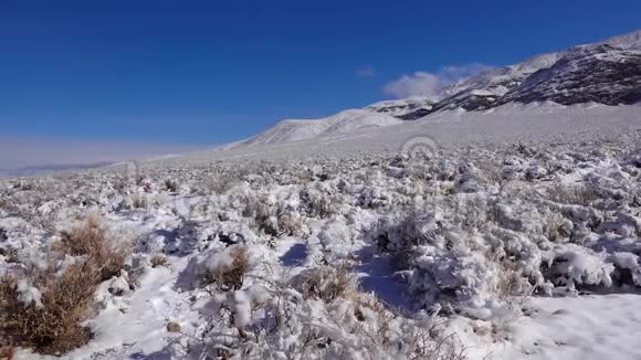 美国加利福尼亚州死亡谷国家公园附近山口的冰雪气旋沙漠植物上的积雪视频的预览图