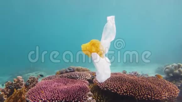 珊瑚礁被塑料袋污染视频的预览图