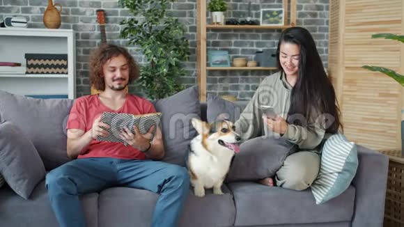 女孩用智能手机而男孩在家里和科吉小狗在沙发上看书视频的预览图