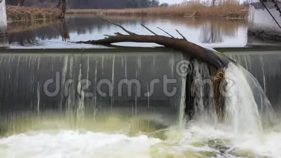 小河上的一个小水坝一个有门槛的瀑布视频的预览图