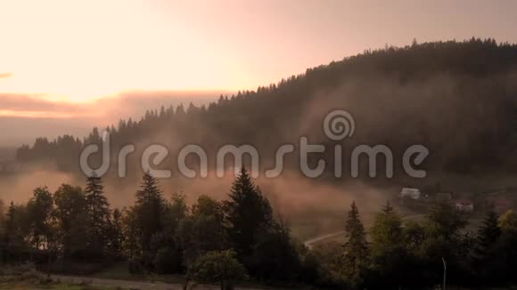 清晨的雾气笼罩着喀尔巴阡山脉的夏季山坡视频的预览图