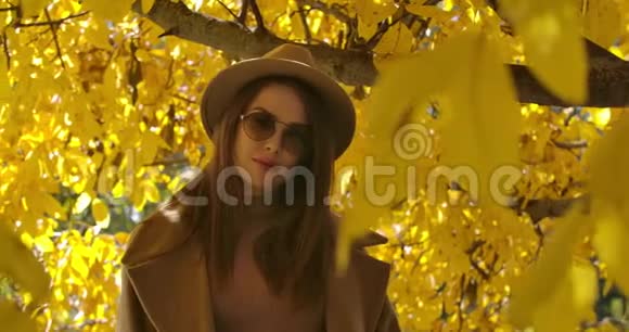 迷人的年轻白种人女孩戴着太阳镜和帽子在秋天公园的阳光下摆姿势美丽的女人看着视频的预览图